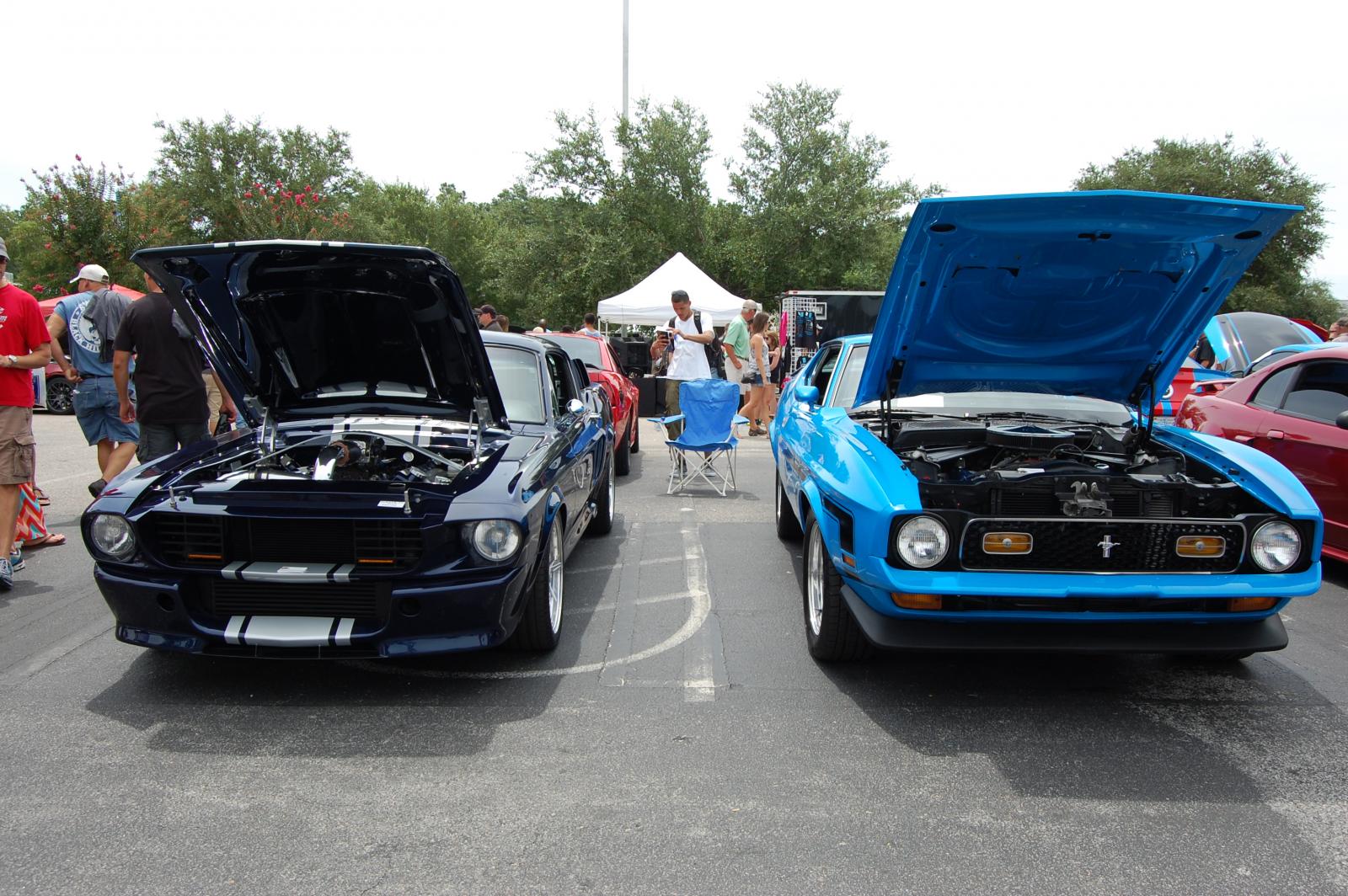 Name:  DSC_0020.jpg
Views: 1306
Size:  284.0 KB