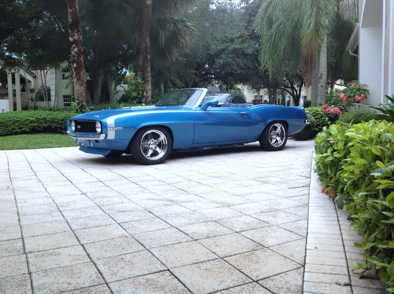 Name:  camaro_DxO.jpg
Views: 1296
Size:  1.41 MB