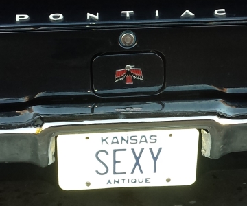 Name:  sexybird.jpg
Views: 1494
Size:  73.0 KB