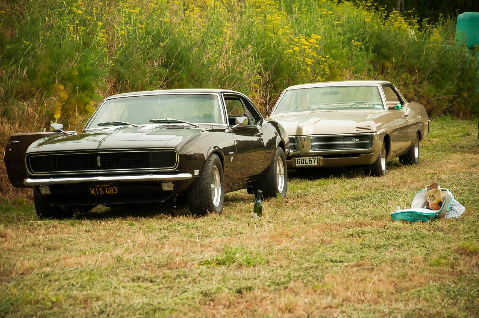Name:  Formal Bridal Party-58.jpg
Views: 591
Size:  356.5 KB