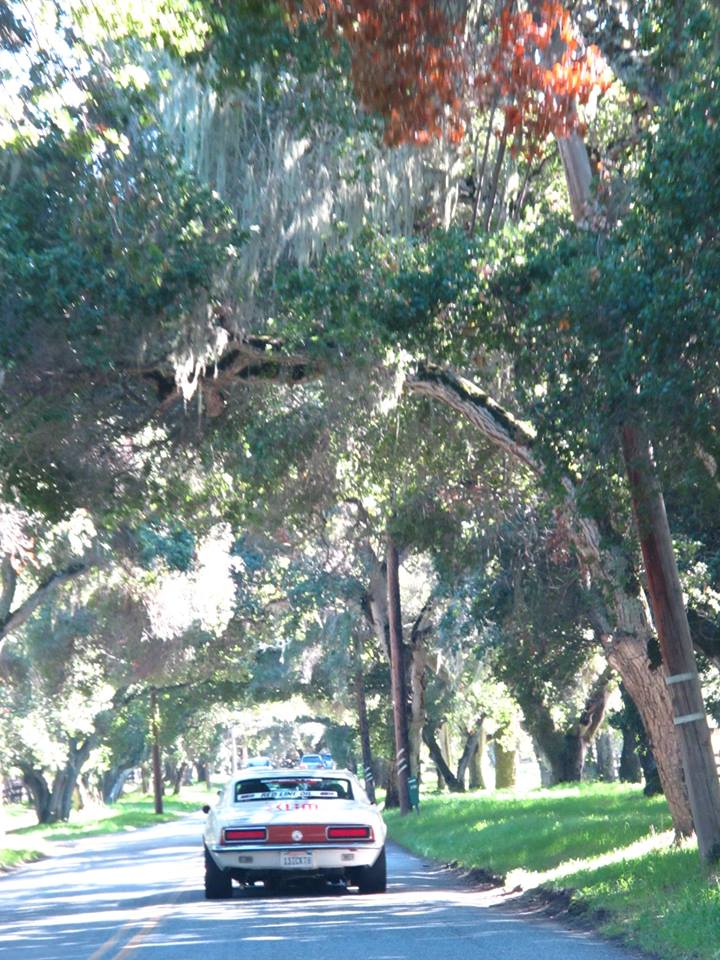 Name:  1966779_10203219860685715_1594435275_n.jpg
Views: 464
Size:  141.4 KB
