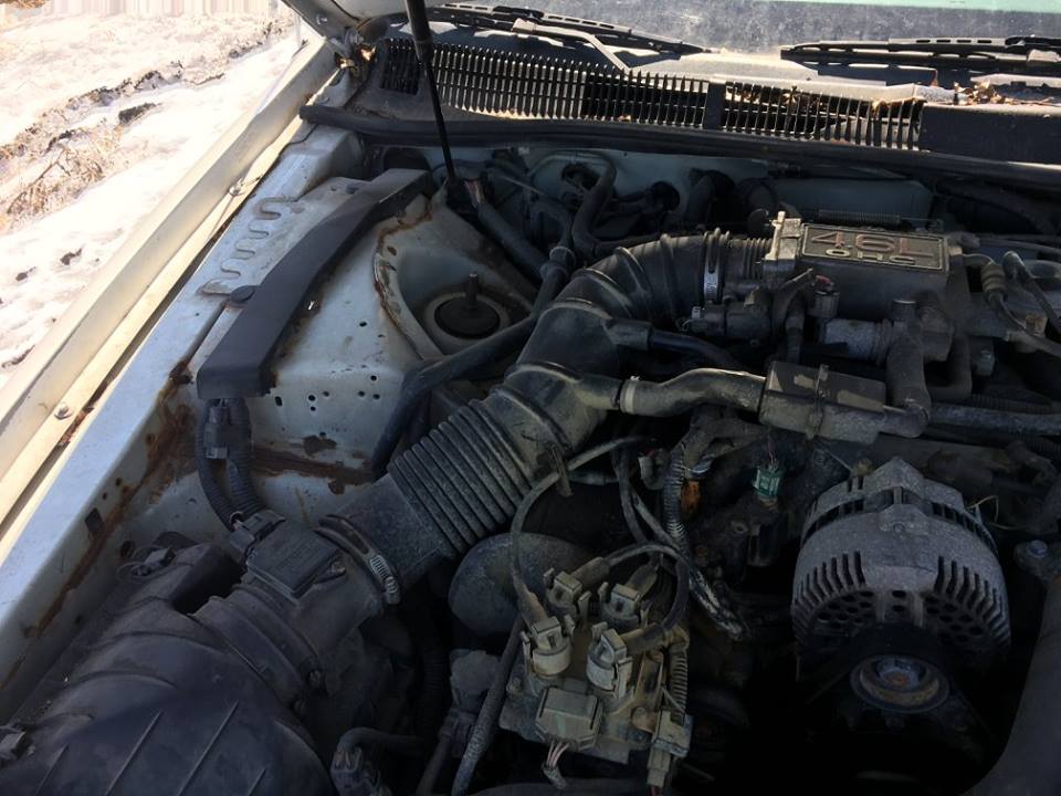 Name:  29597420_1022558254562334_3348981035649609674_n[1].jpg
Views: 3777
Size:  88.1 KB