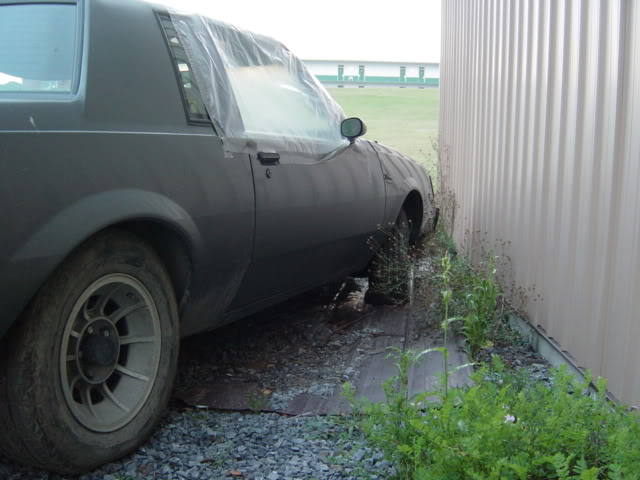 Name:  greyt020.JPG
Views: 1174
Size:  49.7 KB