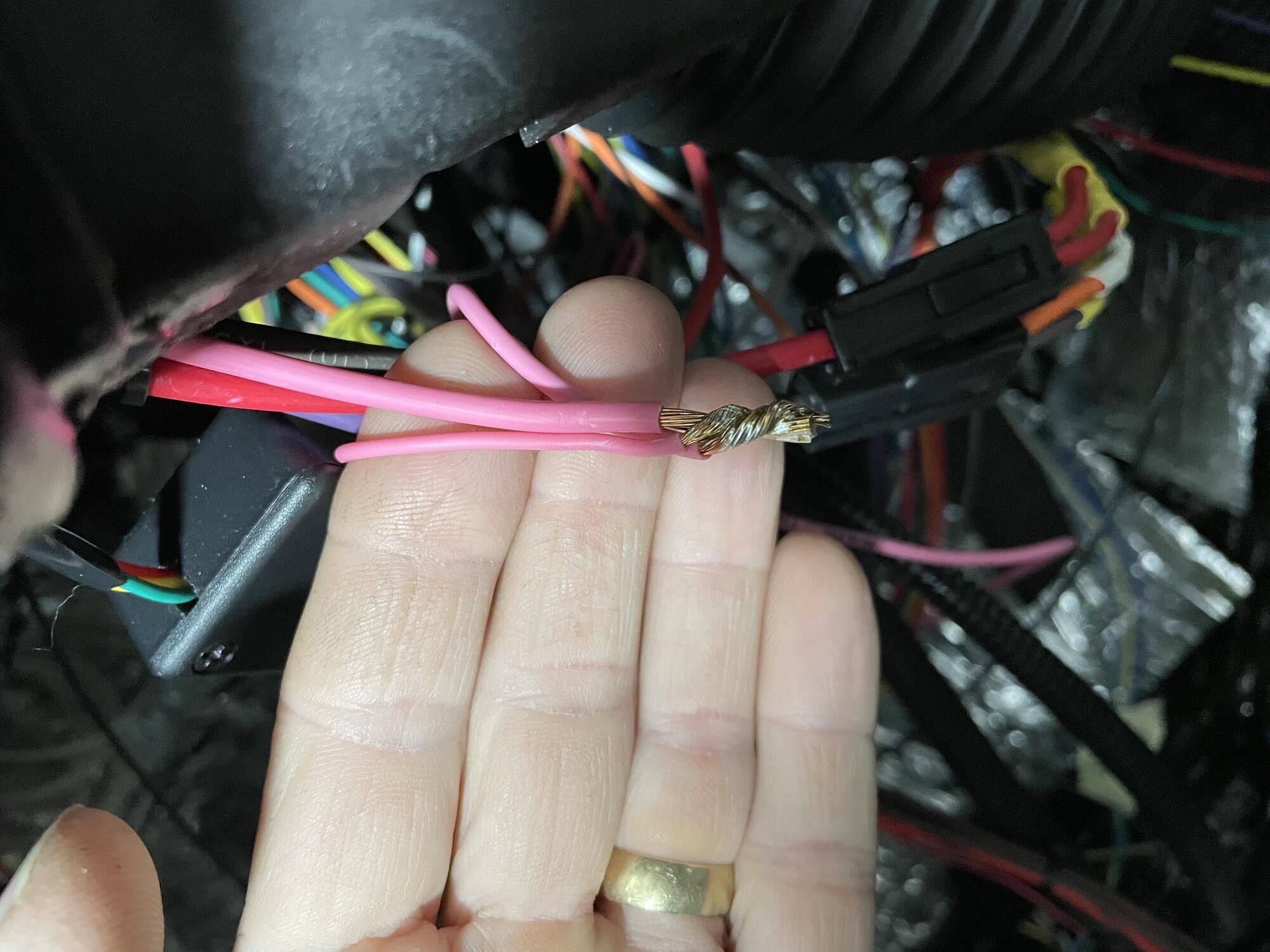 Name:  Pink Wires.jpg
Views: 465
Size:  306.8 KB