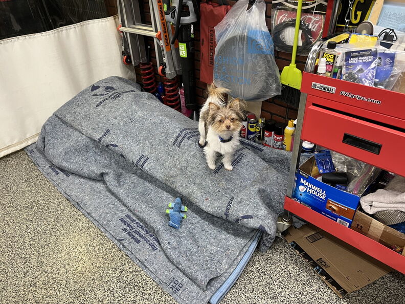 Name:  20220601191555-404e6aa6-me.jpg
Views: 326
Size:  166.0 KB