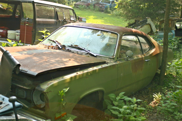 Name:  loading it up for the trip home.JPG
Views: 6425
Size:  211.3 KB