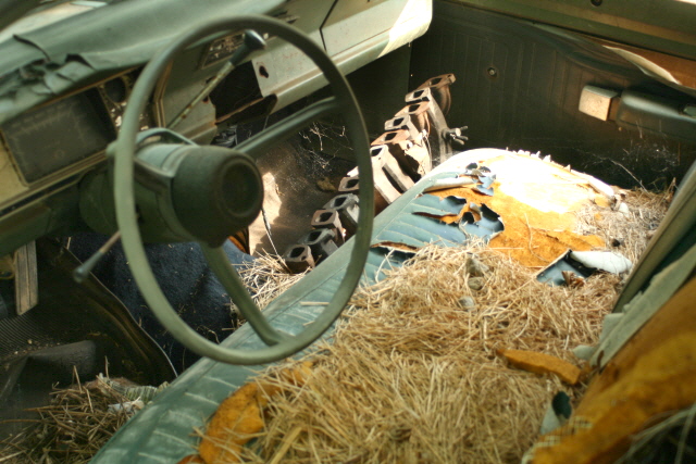 Name:  the beautiful interior.JPG
Views: 5668
Size:  181.0 KB