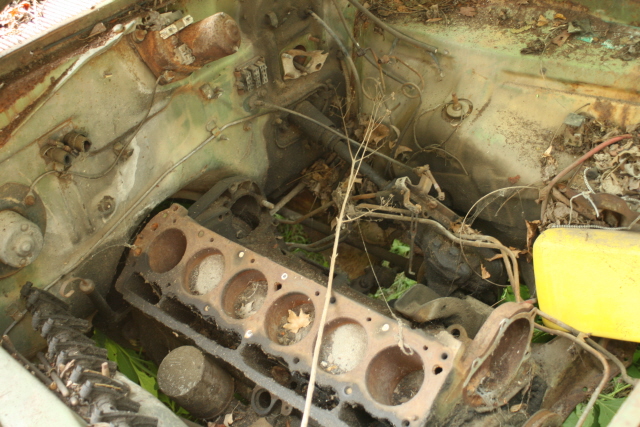 Name:  engine bay needs a little work.JPG
Views: 6000
Size:  205.9 KB