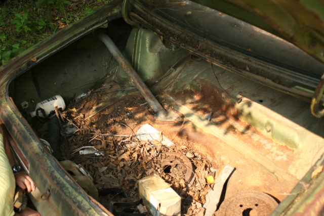 Name:  a lot of junk in the trunk.JPG
Views: 5459
Size:  189.5 KB