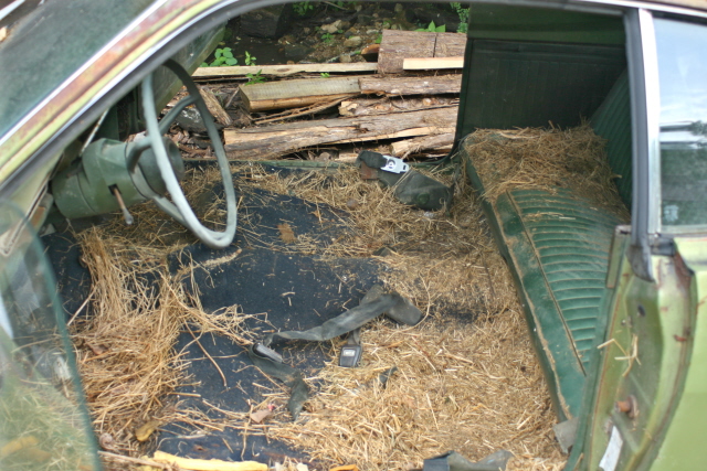 Name:  without the seat.JPG
Views: 5372
Size:  228.3 KB