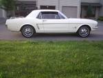 Name:  65 stang.jpg
Views: 1529
Size:  3.5 KB