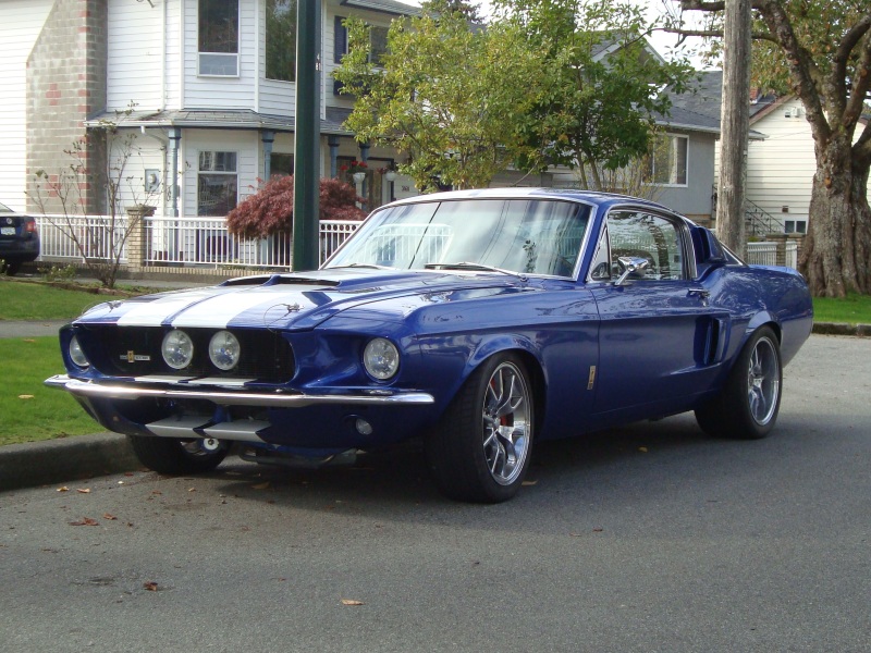 Name:  outside8n.jpg
Views: 2772
Size:  206.7 KB