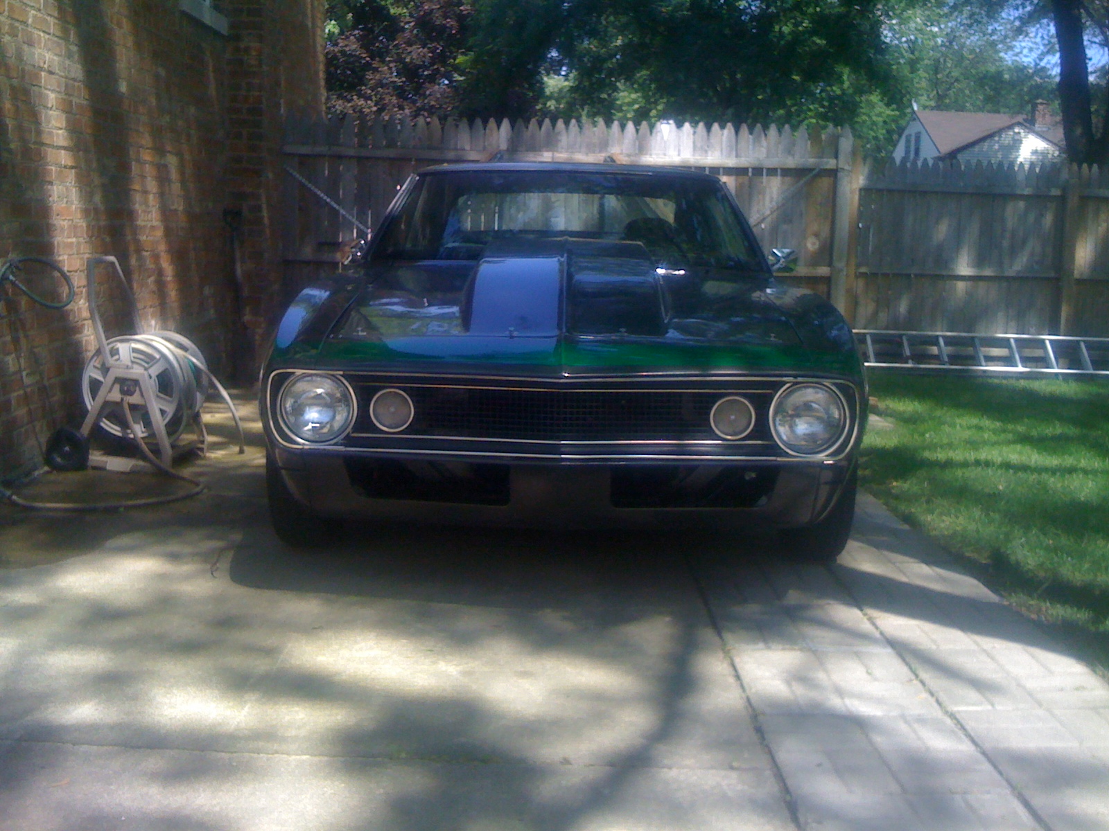 Name:  shannons phone pics 455.jpg
Views: 171
Size:  659.7 KB