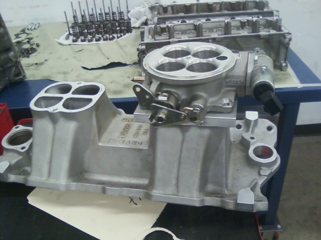 Name:  new intake.JPG
Views: 384
Size:  152.1 KB