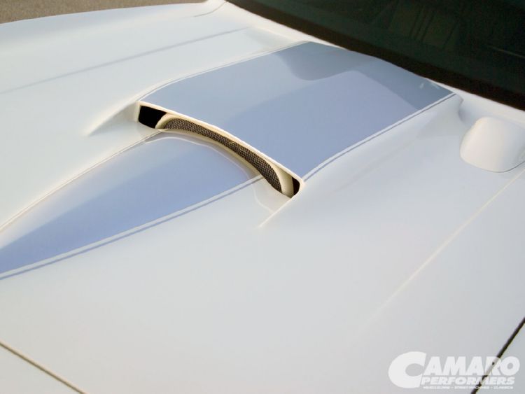 Name:  stinger hood.jpg
Views: 202
Size:  25.7 KB