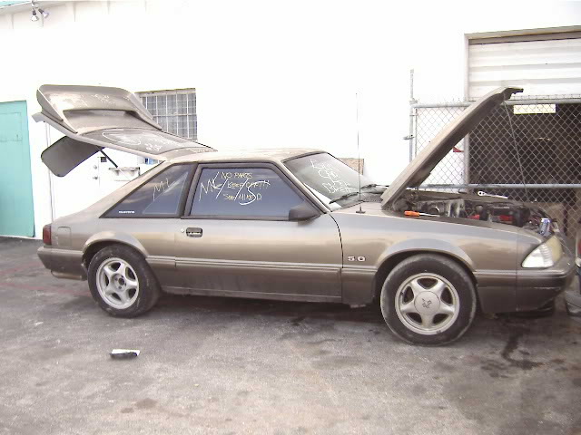 Name:  MLNA0041.jpg
Views: 6062
Size:  59.0 KB