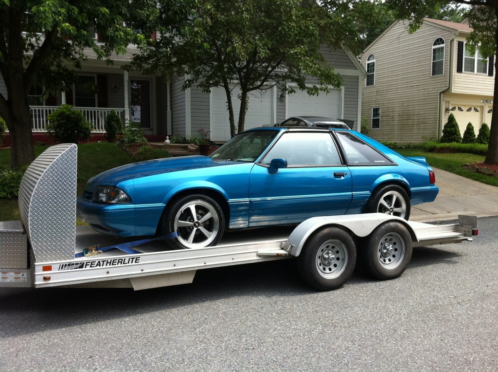 Name:  mustang 054.JPG
Views: 7275
Size:  360.8 KB