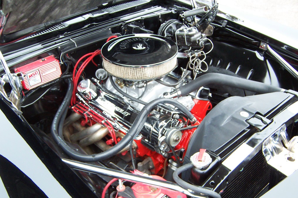 Name:  bk38.jpg
Views: 1046
Size:  258.8 KB