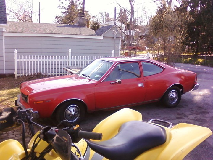 Name:  hornet.jpg
Views: 545
Size:  95.4 KB
