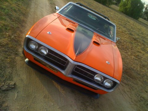 Name:  firebird2.jpg
Views: 407
Size:  40.5 KB
