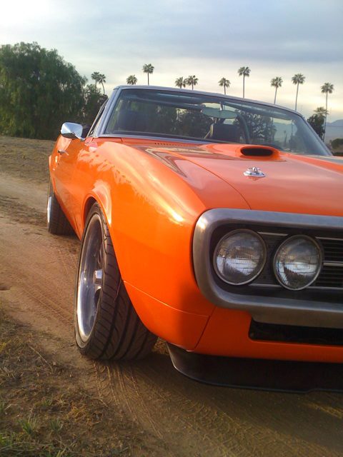 Name:  firebird3.jpg
Views: 425
Size:  53.5 KB