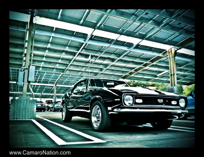 Name:  Camaro under parking.jpg
Views: 348
Size:  369.2 KB