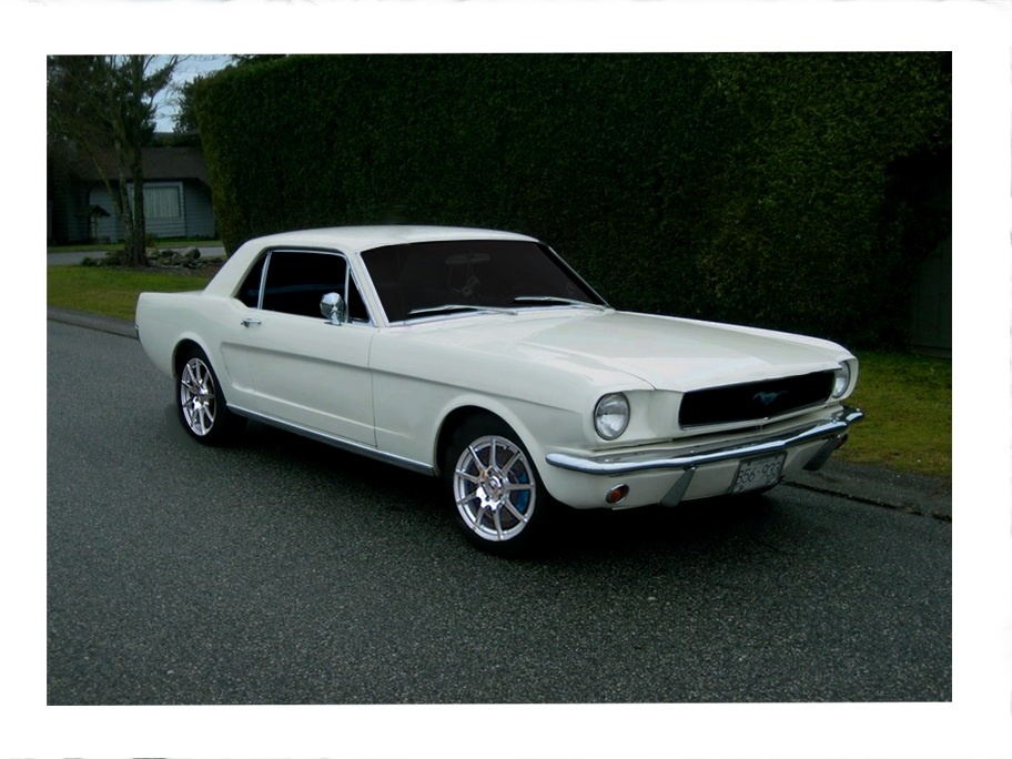 Name:  Stella with TSW.JPG
Views: 2067
Size:  185.4 KB