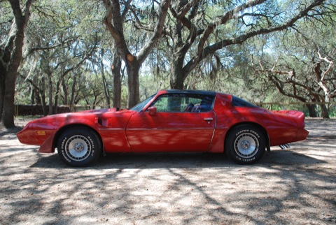 Name:  DSC_0090.JPG
Views: 21179
Size:  88.1 KB