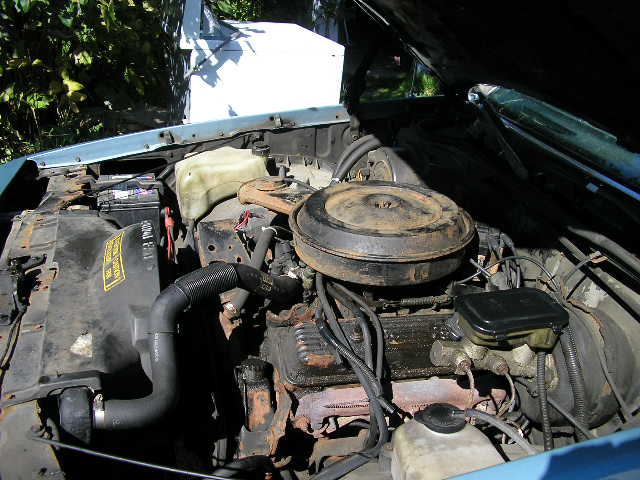 Name:  P1010021.JPG
Views: 1546
Size:  64.3 KB