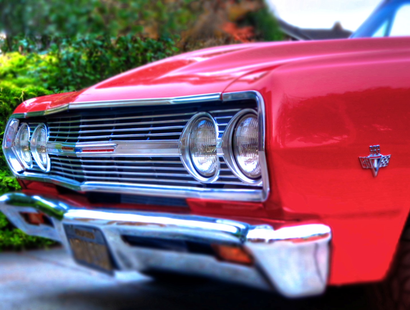 Name:  063_4_5_tonemapped (Large).jpg
Views: 507
Size:  261.5 KB