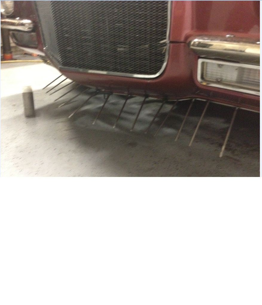 Name:  Spoiler reduced 18.JPG
Views: 3413
Size:  176.5 KB