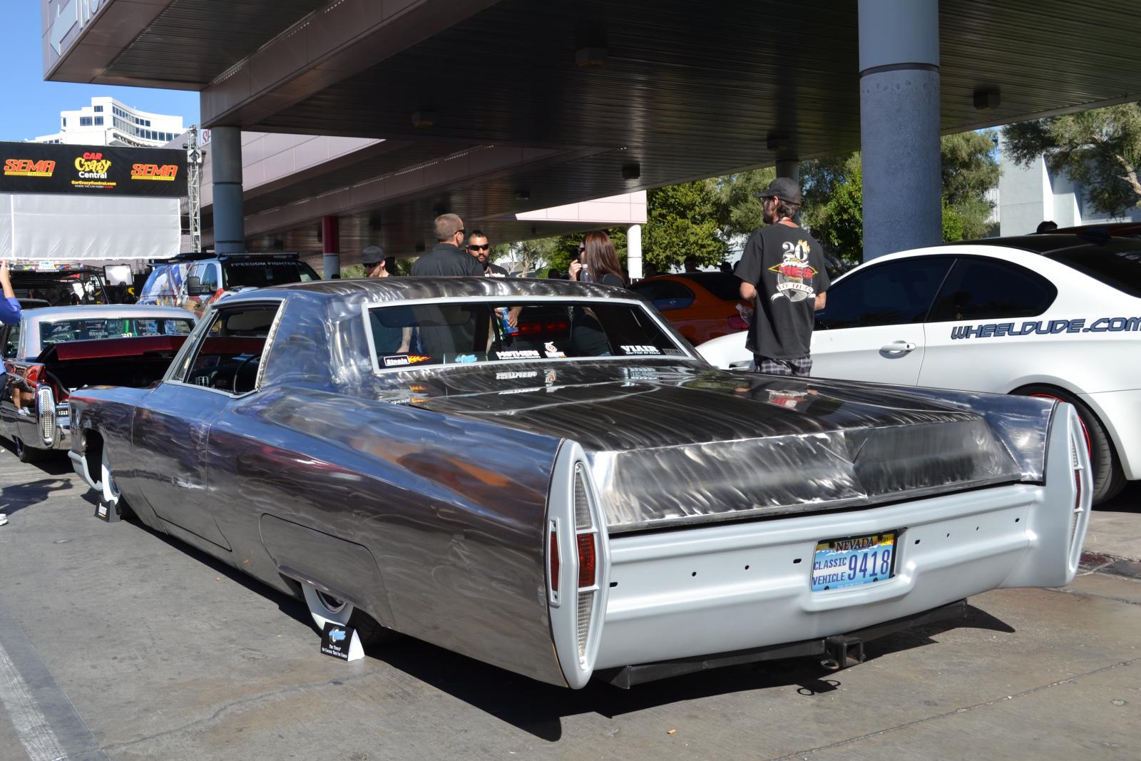 Name:  DSC_0099.jpg
Views: 1247
Size:  228.2 KB