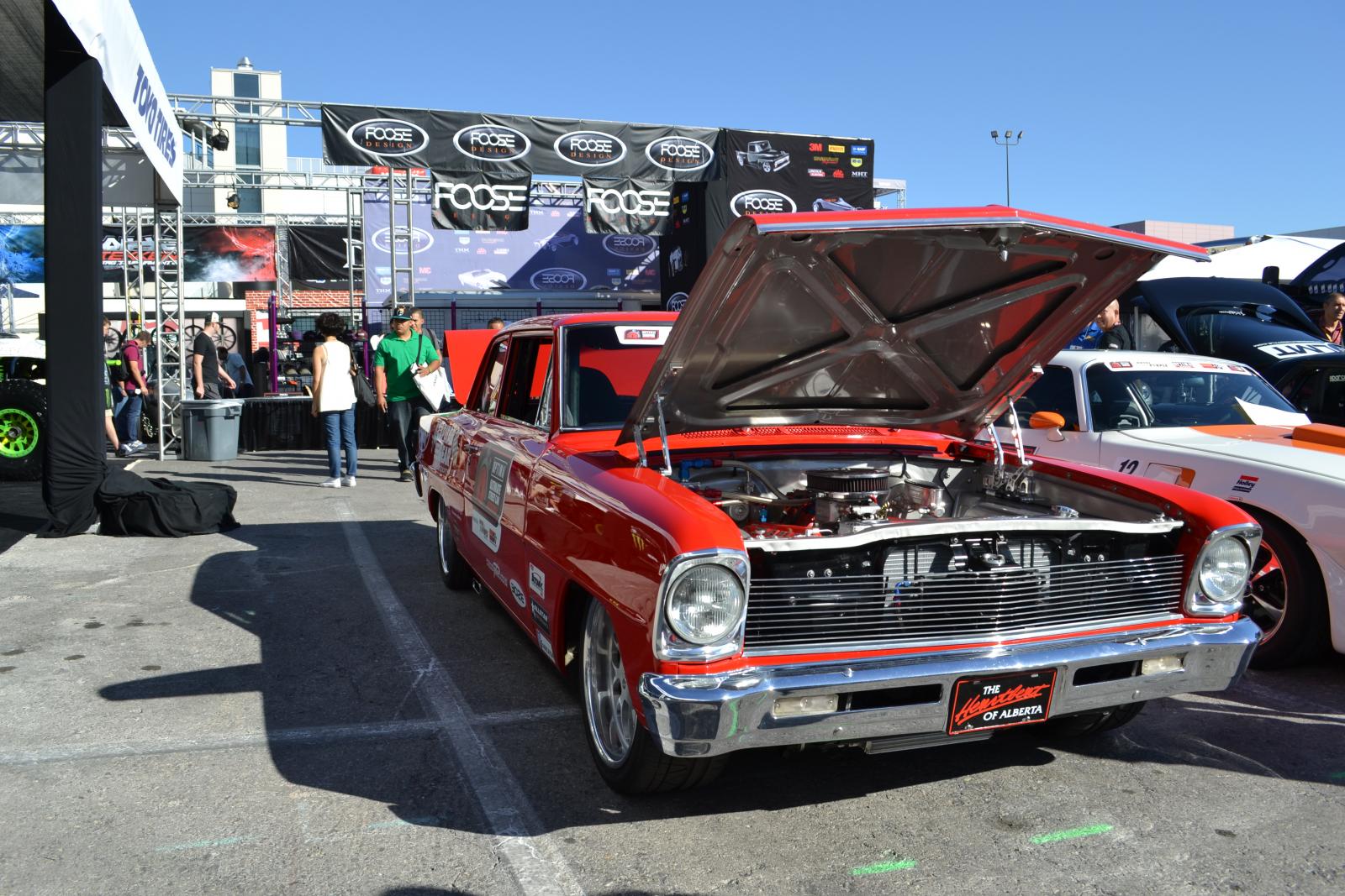 Name:  DSC_0084.jpg
Views: 1348
Size:  284.9 KB
