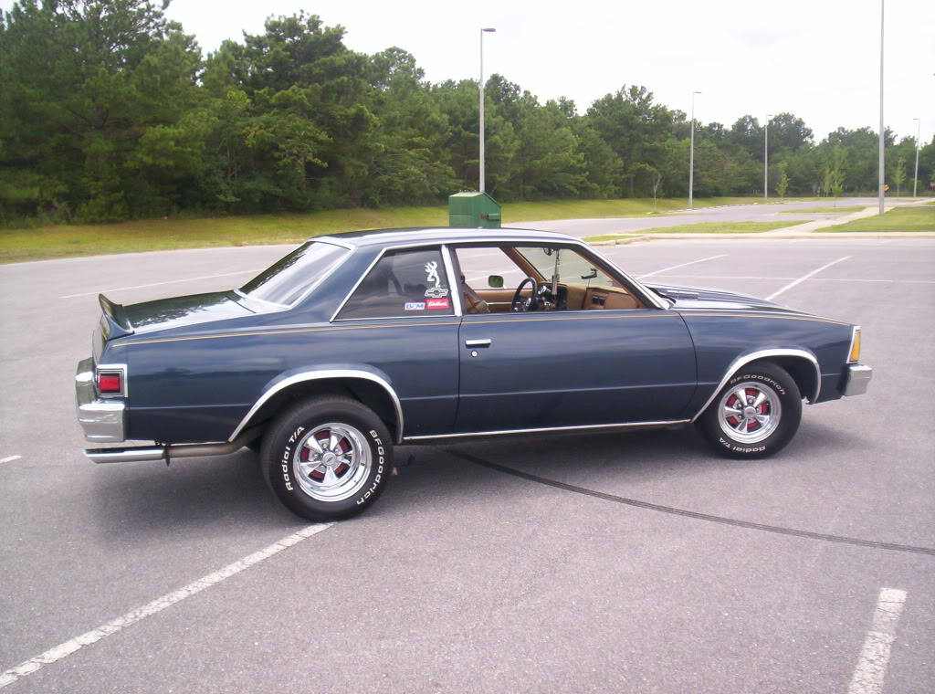 Name:  malibu3.jpg
Views: 433
Size:  145.7 KB