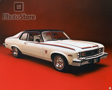 Name:  Nova.jpg
Views: 19139
Size:  94.7 KB