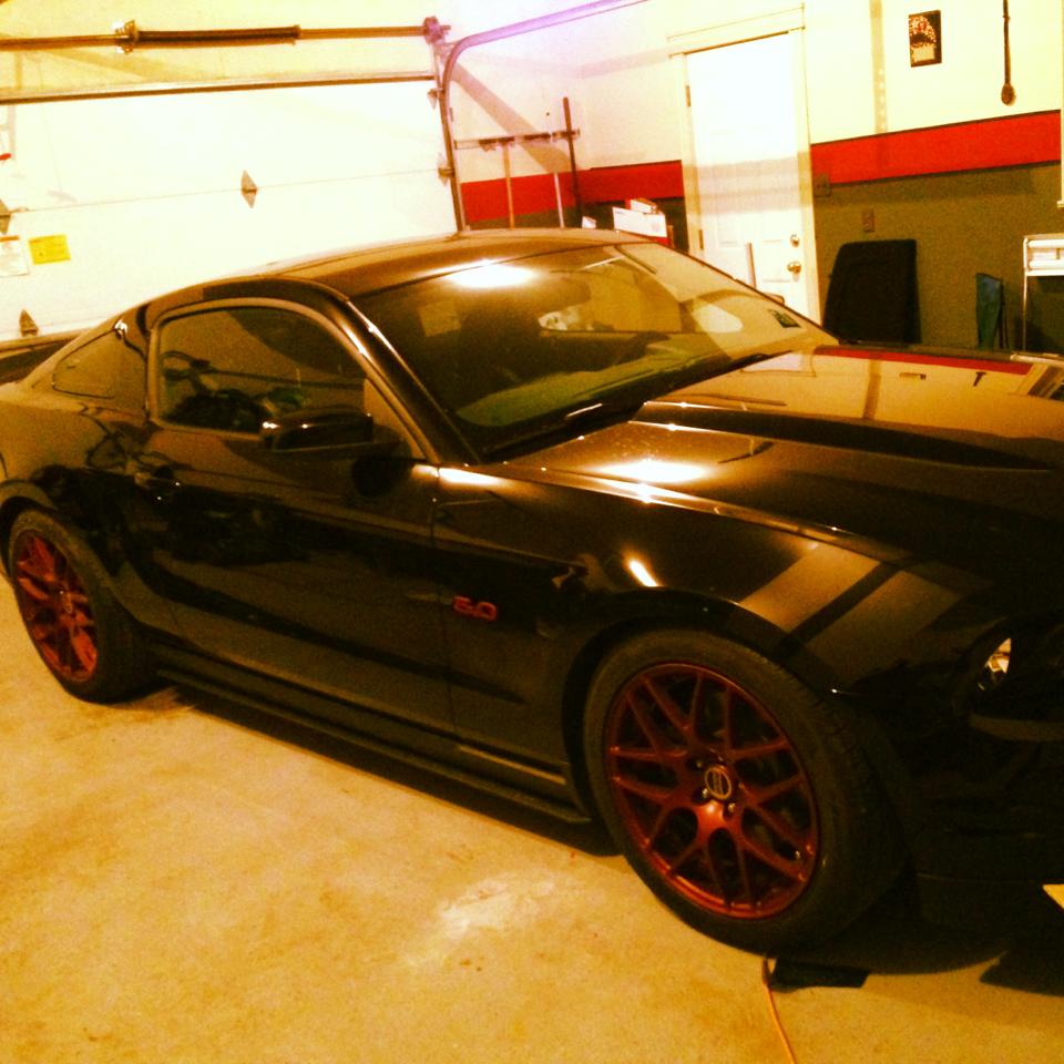 Name:  stang3.jpg
Views: 870
Size:  99.5 KB