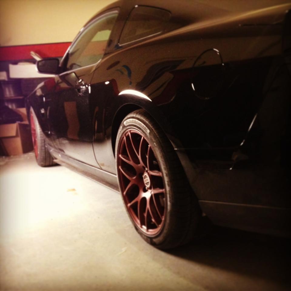 Name:  stang4.jpg
Views: 701
Size:  55.5 KB