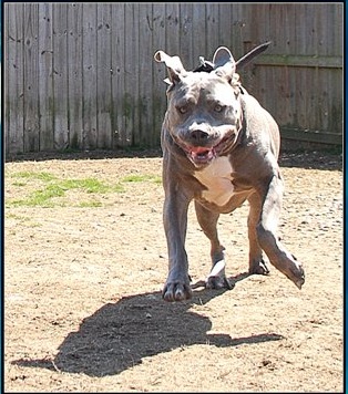 Name:  crazyface.jpg
Views: 404
Size:  64.2 KB