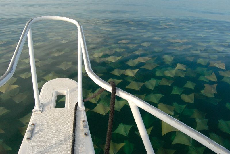 Name:  rays.jpg
Views: 982
Size:  65.9 KB