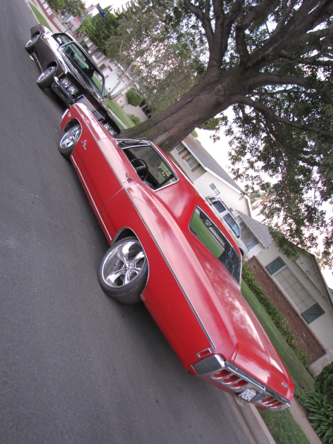 Name:  IMG_4030.JPG
Views: 2167
Size:  240.1 KB