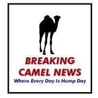 Name:  BreakCamelNews-705233.jpg
Views: 648
Size:  7.7 KB