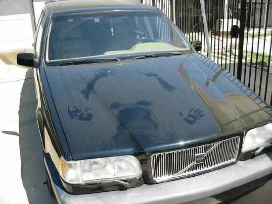 Name:  car1.jpg
Views: 629
Size:  44.4 KB